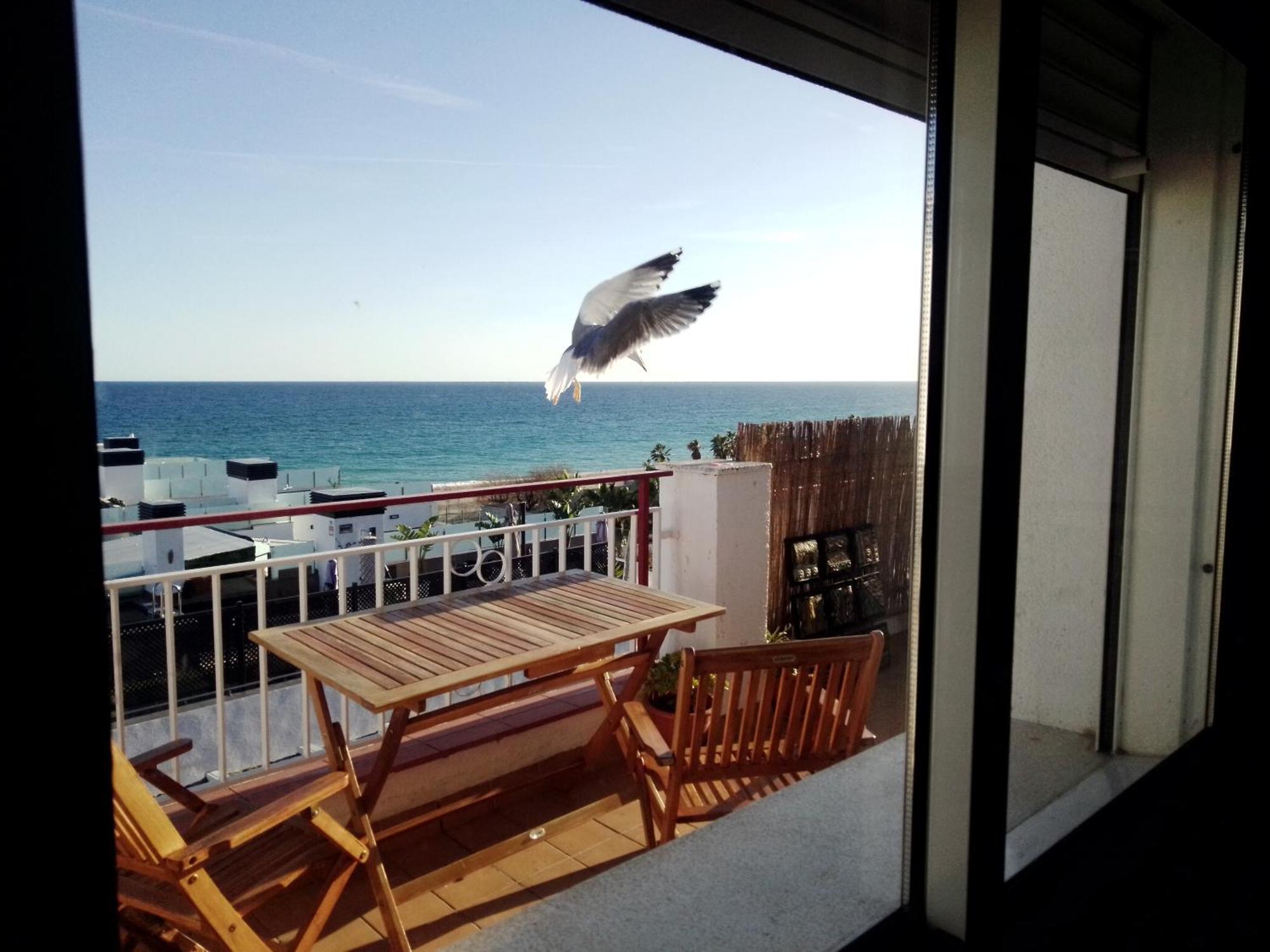 Appartement Terraza Al Mar à Pineda de Mar Extérieur photo